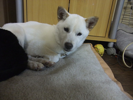 でも、眠い・・・