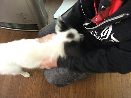 息子さんにも