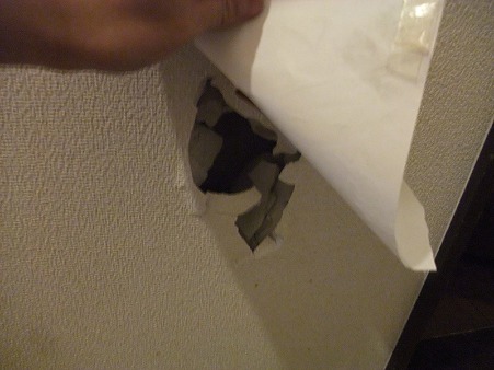 めくると・・・