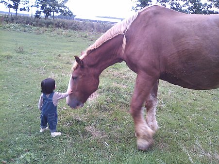 息吹の頭は2歳児の身長に匹敵することが判明(^o^;