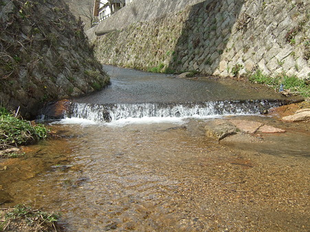 DSCF4624