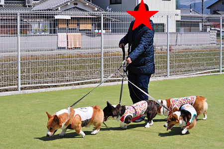 DSC_0007修正