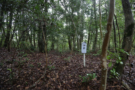 大仙山城 - 07