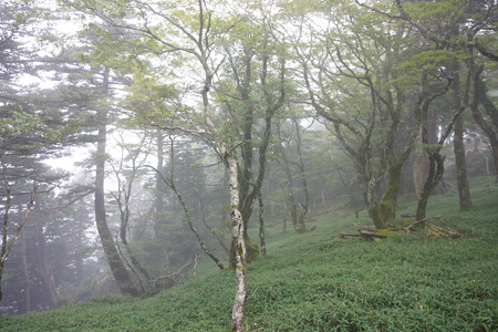 大峯山 - 06