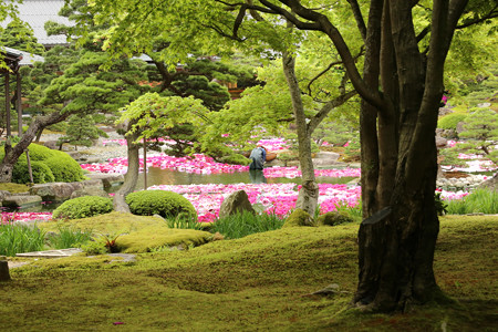 由志園 (3)