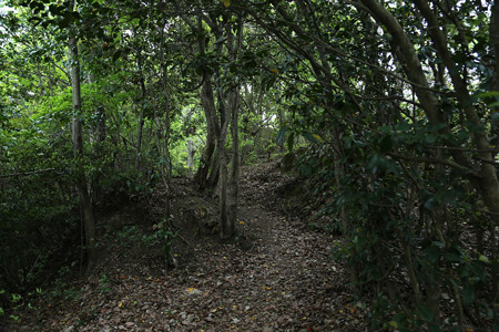 高瀬城 (3)