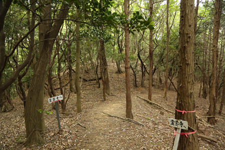 鳶ヶ巣城 (1)