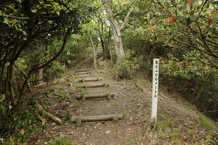 鳶ヶ巣城 (5)
