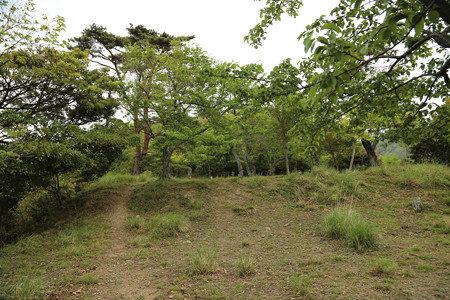 鳶ヶ巣城 (7)