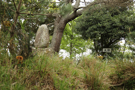 鳶ヶ巣城 (9)