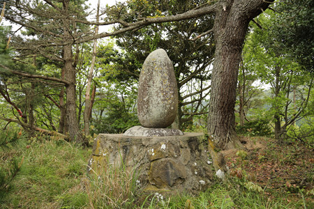 鳶ヶ巣城 (10)