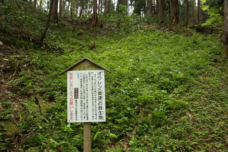 三沢城 (3)