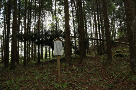 三沢城 (6)