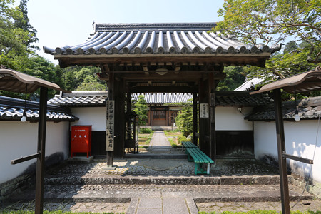 大池寺 (1)