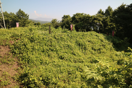 鎌原城 (2)