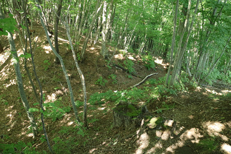 羽根尾城 (5)