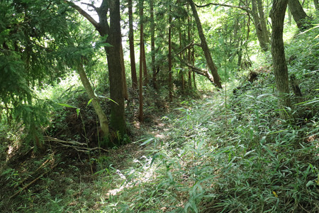 岩櫃城 (10)