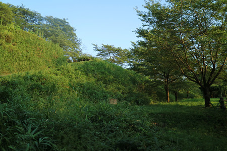 後閑城 (1)