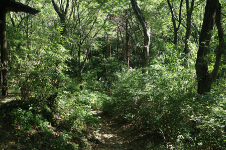 根小屋城 (1)