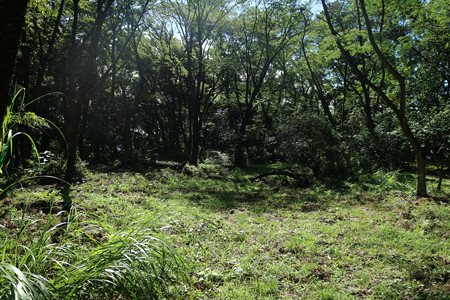 根小屋城 (8)