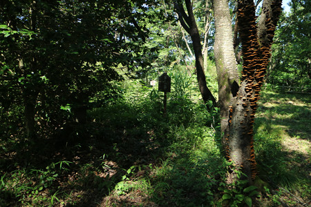 根小屋城 (9)