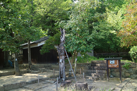 かもがた町家公園・旧高戸家住宅 (5)