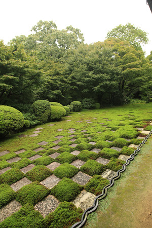 東福寺 (10)