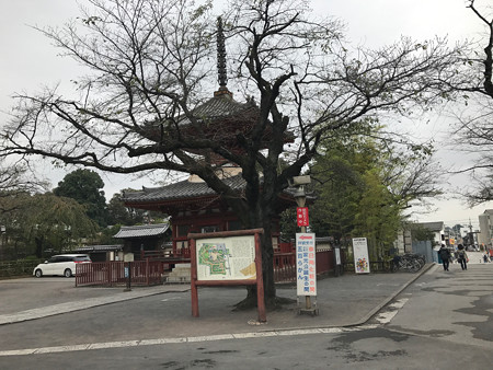 喜多院 (1)
