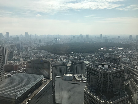 東京都庁 (7)
