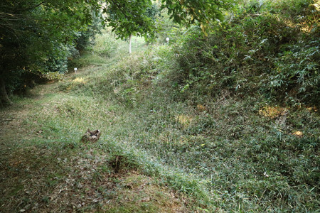 恒屋城 (13)