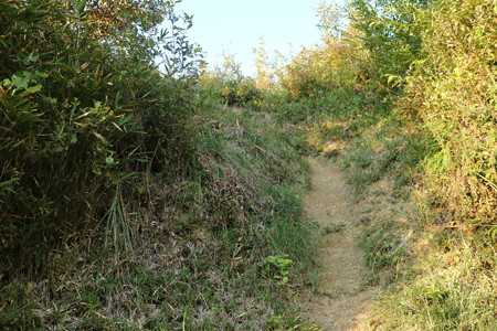 恒屋城 (14)
