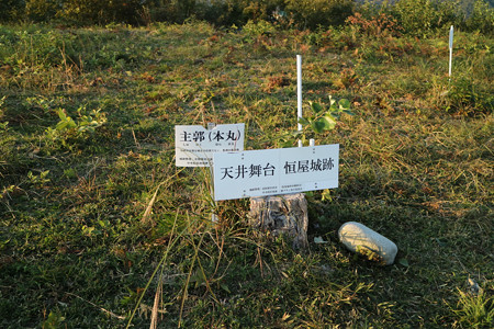 恒屋城 (17)