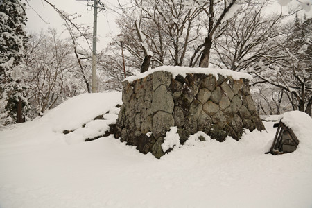 飯山城 (1)