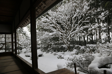 宝泉院