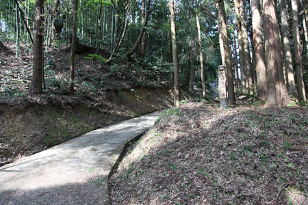 安田城 - 01