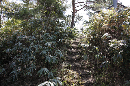鳥坂城 - 06