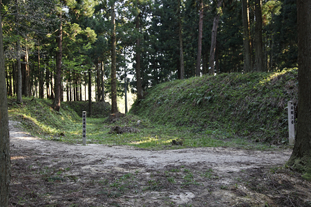 平林城〔平林館城〕 - 10