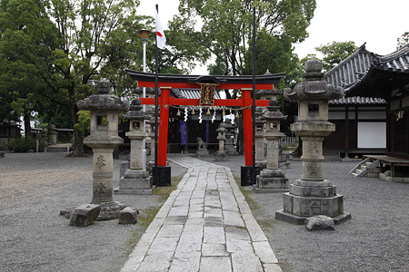 春日神社 - 5