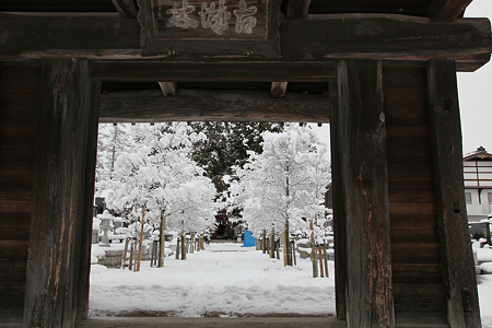 仁科氏居館・天正寺 - 02
