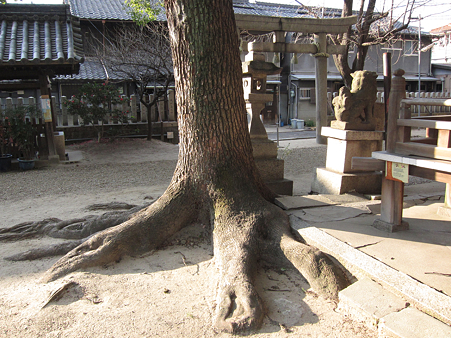 赤留比売命神社 - 4