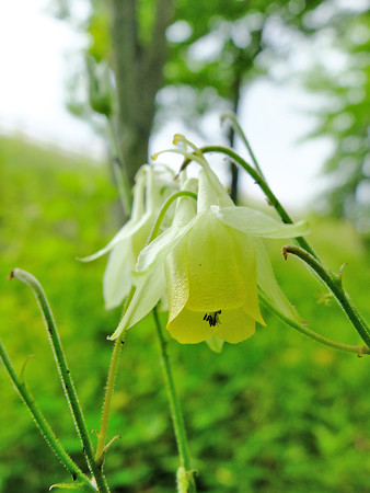 DSCF4930