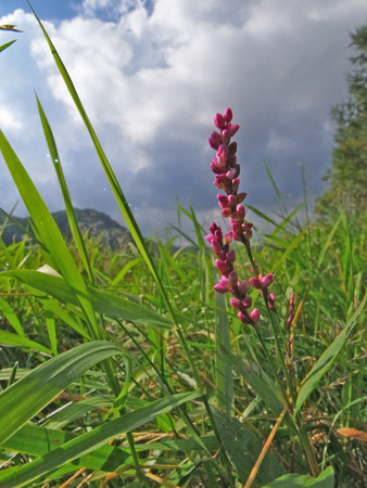 R0017339