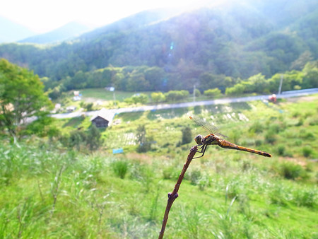 R0017398