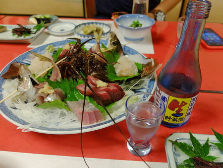 DSCF6644