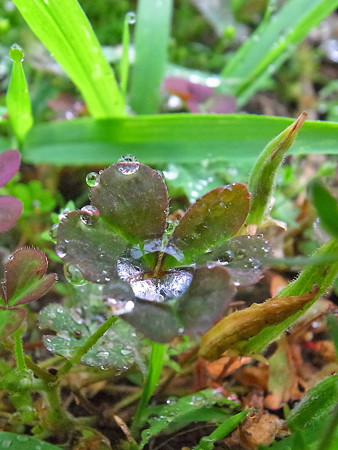 R0020519