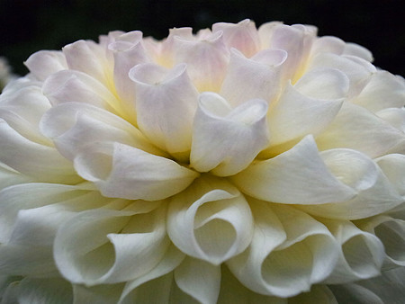 R0022515