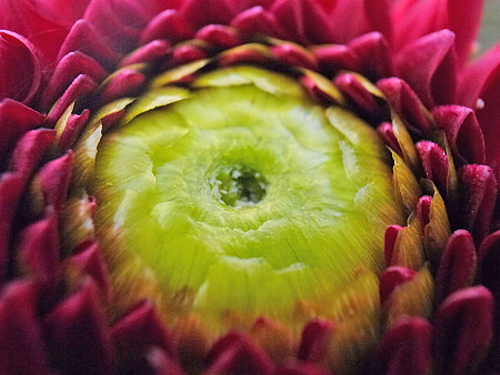 R0022717
