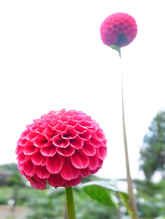 R0022669