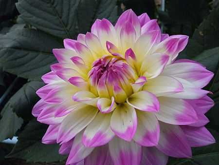 R0022544