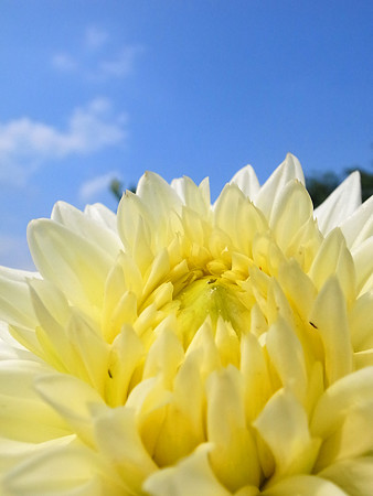 R0022435